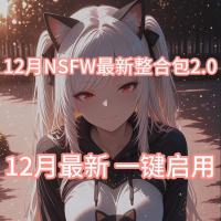 12月最强NSFW V2.0整合包