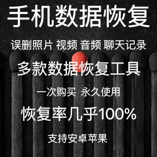 全面兼容的手机数据恢复教程：轻松找回照片、视频等各类文件