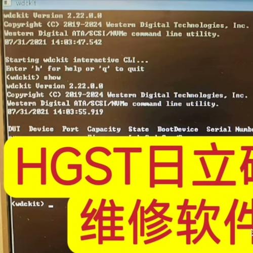 赠送Winfof软件及视频教程，HGST日立硬盘修复工具（含HUGO专业版）