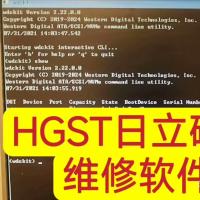 赠送Winfof软件及视频教程，HGST日立硬盘修复工具（含HUGO专业版）