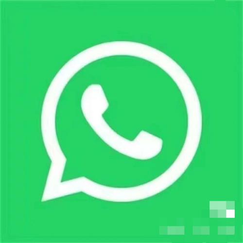 WhatsApp多账号管理：解决所有使用难题
