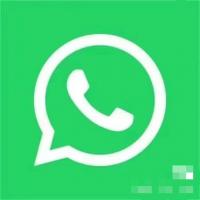 WhatsApp多账号管理：解决所有使用难题