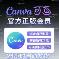 Canva国际版团队会员资源：高级会员、海量英文素材与独立设计空间