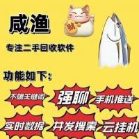 即时追踪闲鱼新品 快速完成扫描竞拍 闲鱼助手应用