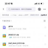 jNPF6.0 SSO多租户功能更新：AI建表、即拍即发与Java单体版等特性介绍