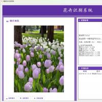 基于Python和PyTorch的花卉识别系统