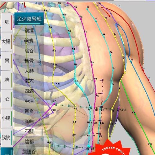 中医学专业人体经络、手部穴位及中医入门模拟软件三款精选