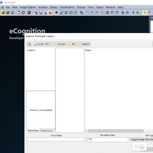 易康eCognition软件开发代做报价非最终售价