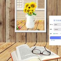 基于Spring Boot与Vue的在线图书商城系统附带文档-Java Web项目