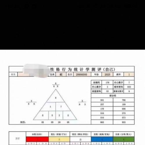 性格与行为统计测评工具