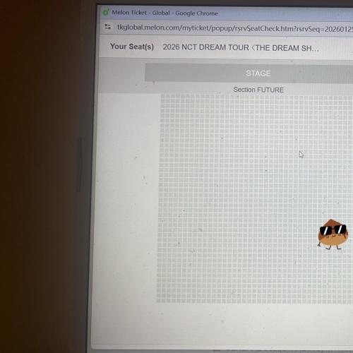 【可直拍】melon插件 - melon ticket拾漏输出