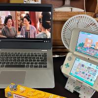 3DS游戏资源服务：代找、安装与内存卡