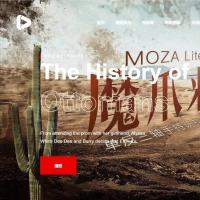 基于Springboot的协同过滤电影推荐系统