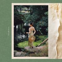 Kindness莫兰迪之梦与梵高信件风格胶片色彩配置文件