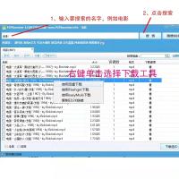 p2psearch3.5 磁力链接搜索工具 百度网盘或邮箱交付 支持无理由退款试用