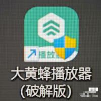 大黄蜂云课堂定制版播放器翻录工具 6.05 版