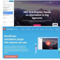 TranslatePress Business最新版2.7.6（持续更新）：自动IP地址语言切换