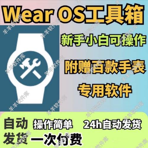 Wear OS工具箱捐赠版：解锁全面功能，打造个性化智能手表体验